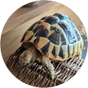 Amanda Dodwell profile picture